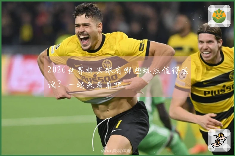 2026世界杯买球有哪些玩法值得尝试？一起来看看吧