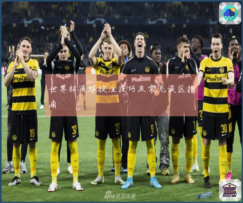 世界杯滚球投注技巧及常见误区指南