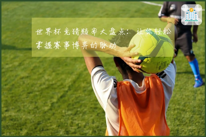 世界杯竞猜赔率大盘点：让你轻松掌握赛事博弈的脉动