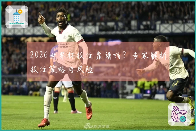 2026世界杯投注靠谱吗？专家解析投注策略与风险