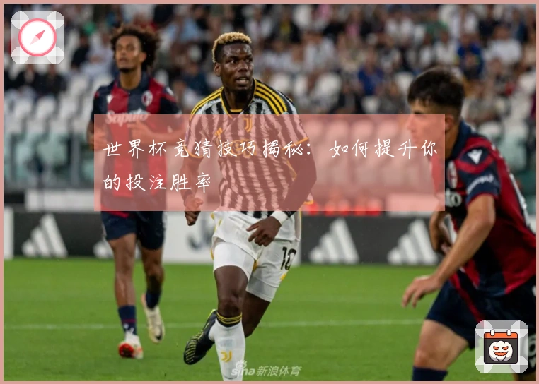 世界杯竞猜技巧揭秘：如何提升你的投注胜率