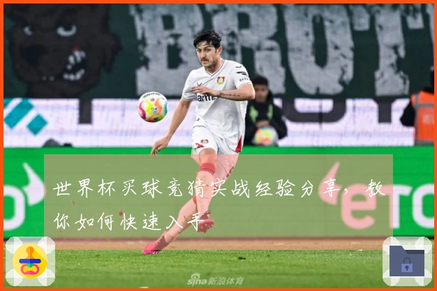 世界杯买球竞猜实战经验分享，教你如何快速入手