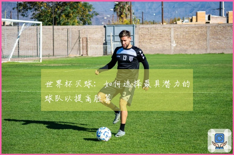 世界杯买球：如何选择最具潜力的球队以提高胜算
