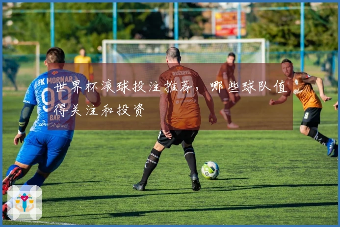 世界杯滚球投注推荐，哪些球队值得关注和投资