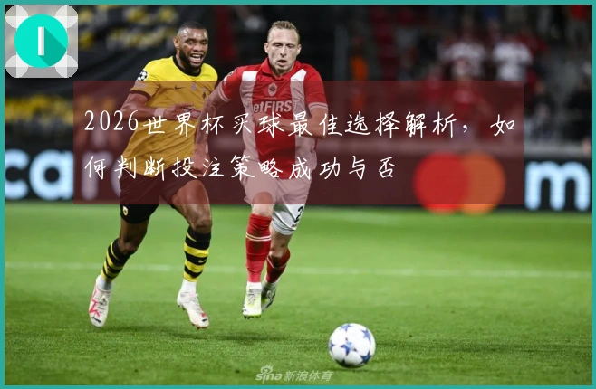 2026世界杯买球最佳选择解析，如何判断投注策略成功与否